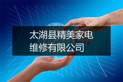 太湖县精美家电维修有限公司