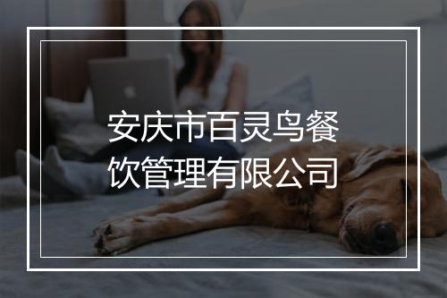 安庆市百灵鸟餐饮管理有限公司
