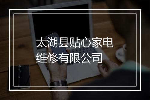 太湖县贴心家电维修有限公司