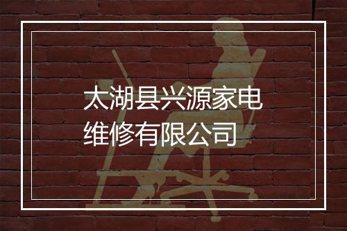 太湖县兴源家电维修有限公司
