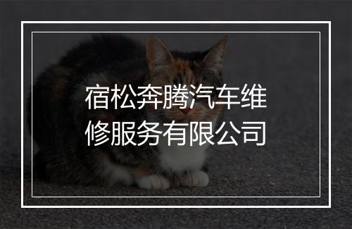 宿松奔腾汽车维修服务有限公司