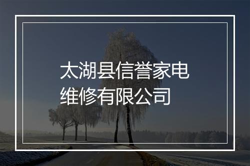 太湖县信誉家电维修有限公司