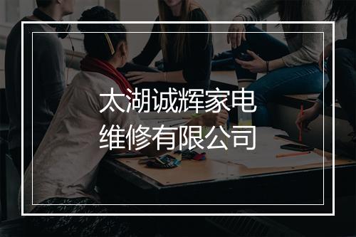 太湖诚辉家电维修有限公司