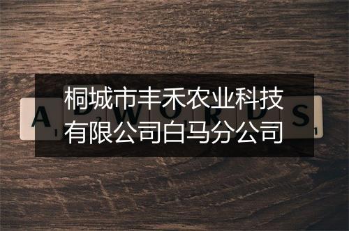 桐城市丰禾农业科技有限公司白马分公司