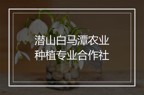 潜山白马潭农业种植专业合作社