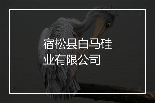 宿松县白马硅业有限公司
