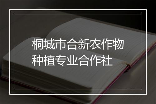 桐城市合新农作物种植专业合作社