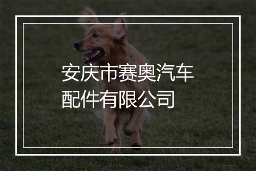 安庆市赛奥汽车配件有限公司