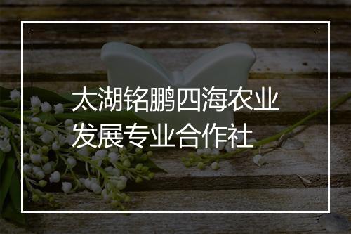 太湖铭鹏四海农业发展专业合作社