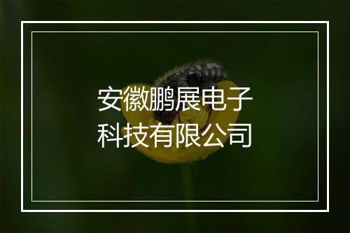 安徽鹏展电子科技有限公司