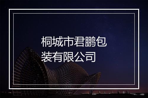 桐城市君鹏包装有限公司