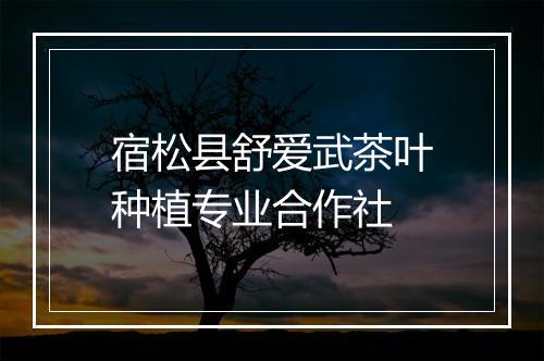 宿松县舒爱武茶叶种植专业合作社