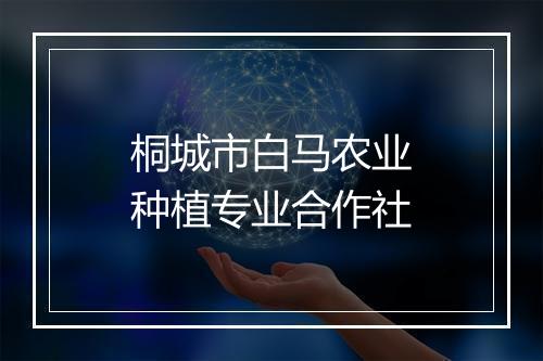 桐城市白马农业种植专业合作社