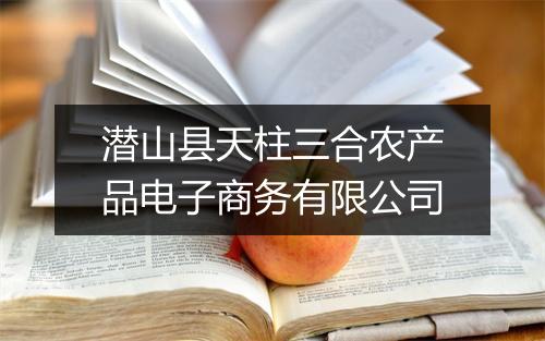潜山县天柱三合农产品电子商务有限公司