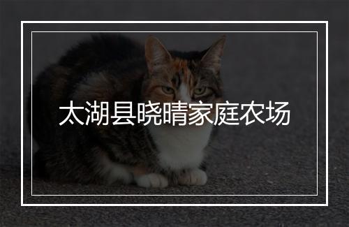 太湖县晓晴家庭农场