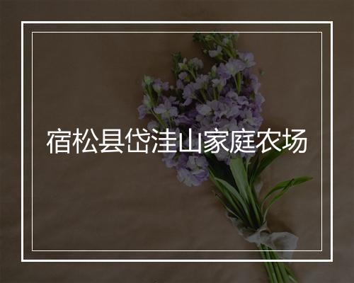 宿松县岱洼山家庭农场