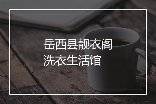 岳西县靓衣阁洗衣生活馆