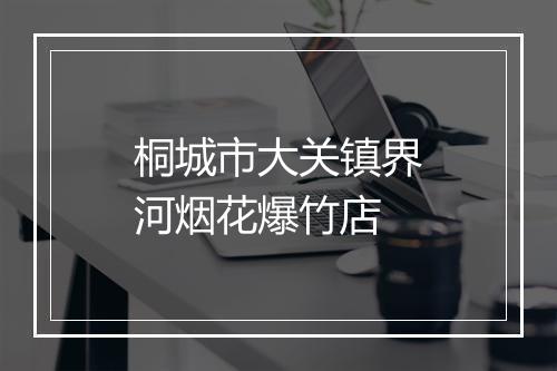 桐城市大关镇界河烟花爆竹店
