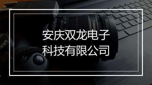 安庆双龙电子科技有限公司