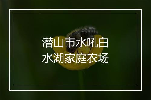 潜山市水吼白水湖家庭农场