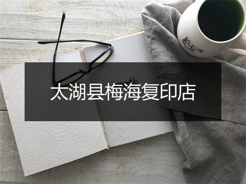 太湖县梅海复印店