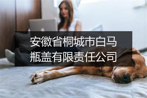 安徽省桐城市白马瓶盖有限责任公司