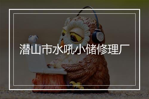 潜山市水吼小储修理厂