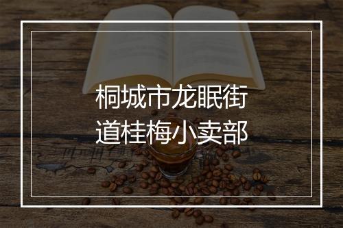 桐城市龙眠街道桂梅小卖部