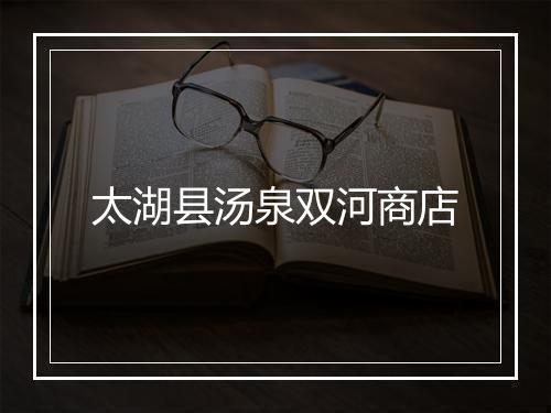 太湖县汤泉双河商店