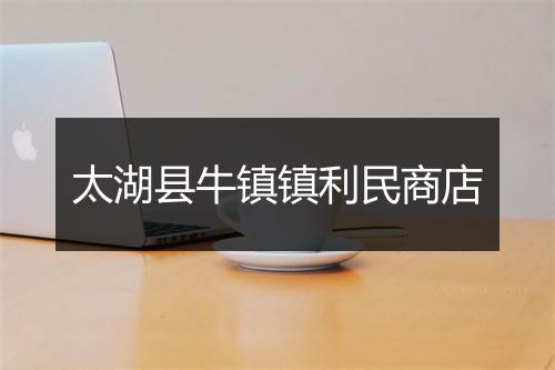 太湖县牛镇镇利民商店