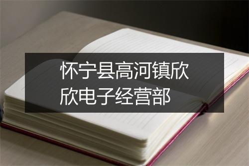怀宁县高河镇欣欣电子经营部