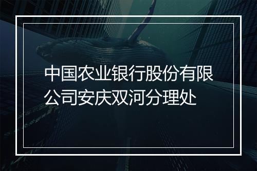 中国农业银行股份有限公司安庆双河分理处