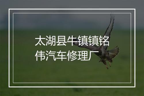 太湖县牛镇镇铭伟汽车修理厂