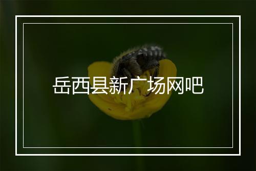 岳西县新广场网吧