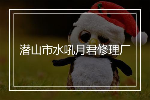 潜山市水吼月君修理厂