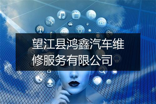 望江县鸿鑫汽车维修服务有限公司