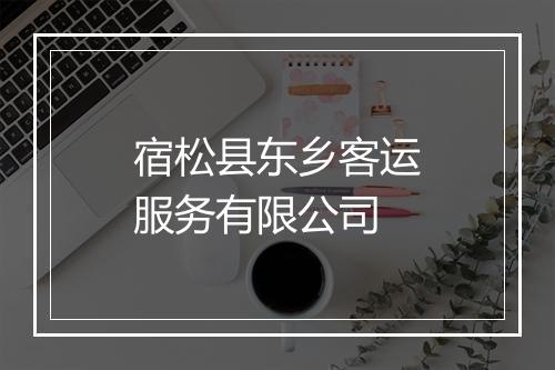 宿松县东乡客运服务有限公司