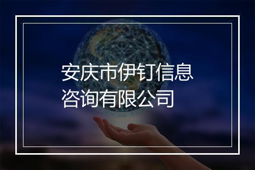 安庆市伊钉信息咨询有限公司