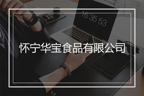 怀宁华宝食品有限公司