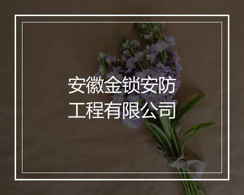 安徽金锁安防工程有限公司