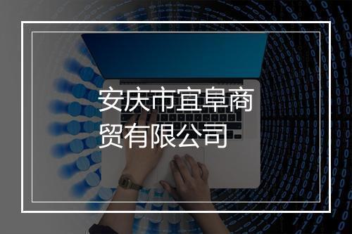 安庆市宜阜商贸有限公司