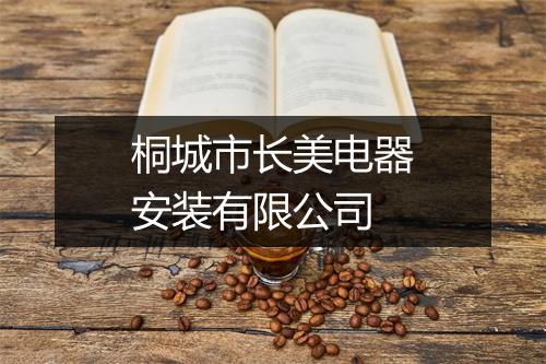 桐城市长美电器安装有限公司