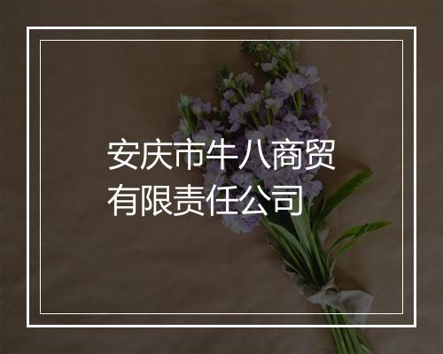 安庆市牛八商贸有限责任公司
