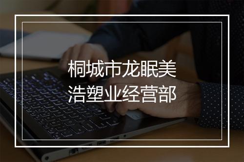 桐城市龙眠美浩塑业经营部