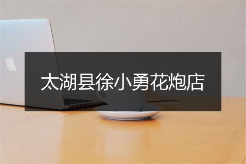 太湖县徐小勇花炮店