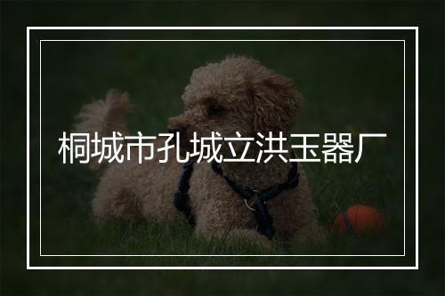 桐城市孔城立洪玉器厂