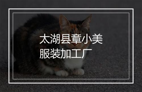 太湖县章小美服装加工厂