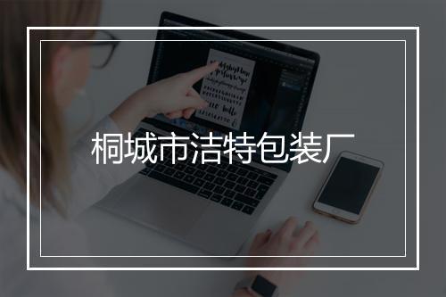 桐城市洁特包装厂