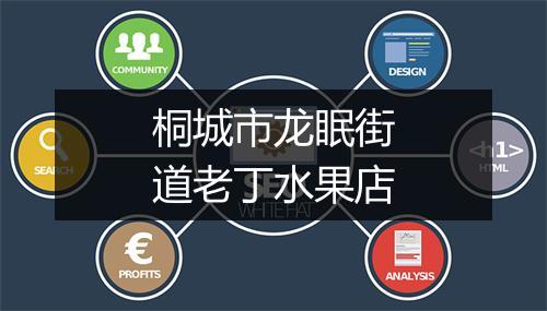 桐城市龙眠街道老丁水果店