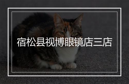 宿松县视博眼镜店三店